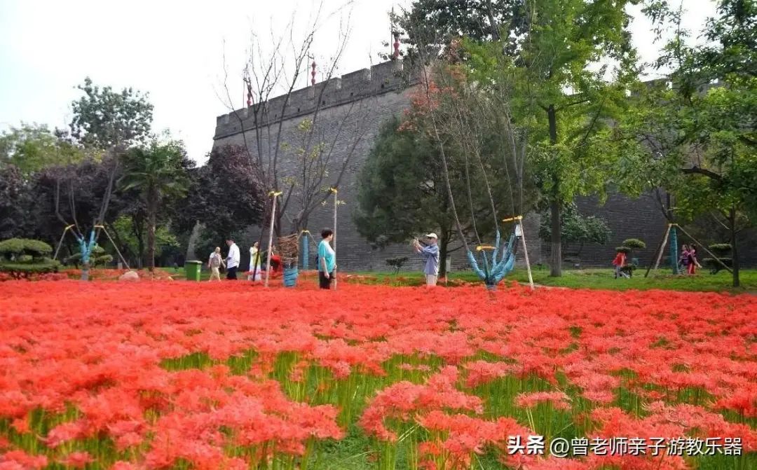 每一个都值得一去！西安旅游首选10大景区，最详细攻略，避坑指南-第25张图片