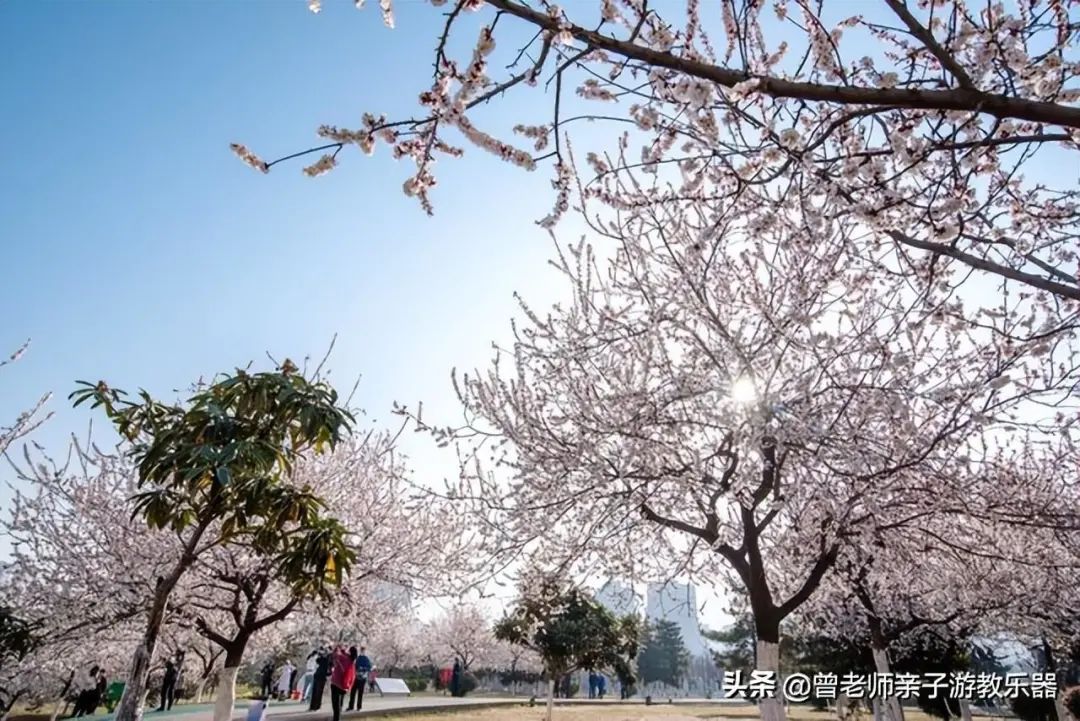 每一个都值得一去！西安旅游首选10大景区，最详细攻略，避坑指南-第70张图片