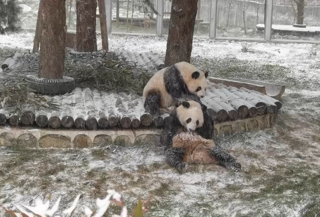 西安这些道路通行有变…多图预警！终于下雪了！-第2张图片