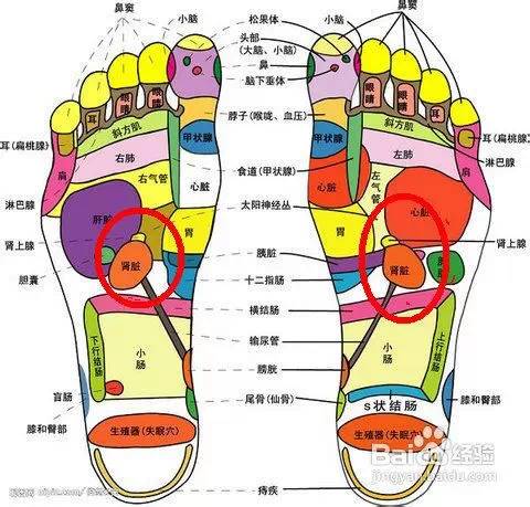 脚底，是人体最大的福田！为何大家都爱做足疗？西安足疗分享-第5张图片