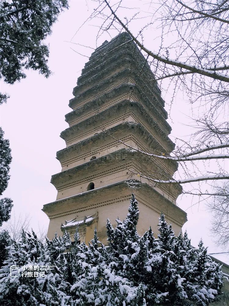 还不得把中国人全给迷死！欣赏一下西安的雪景-第2张图片