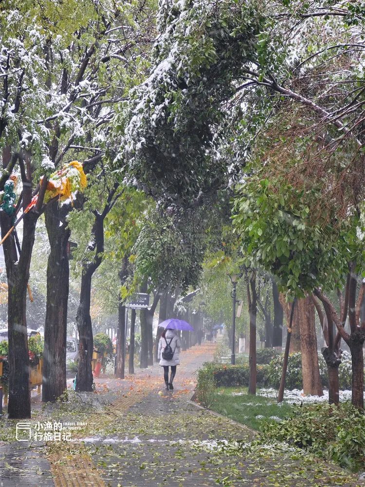 还不得把中国人全给迷死！欣赏一下西安的雪景-第15张图片