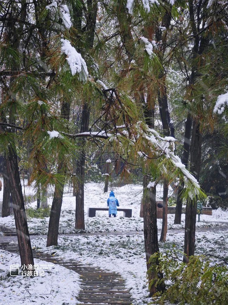 还不得把中国人全给迷死！欣赏一下西安的雪景-第16张图片