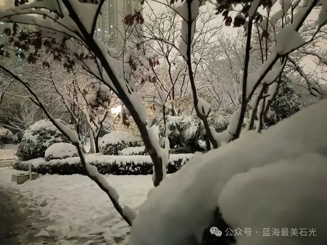 更妩媚多姿！风雪夜归人、西安夜晚的雪-第4张图片