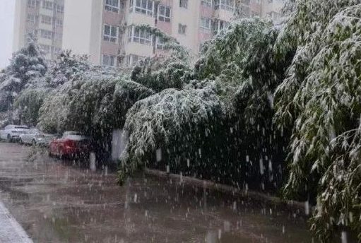 提醒：下周上班时间有变！雨夹雪、局地大雪！西安新一轮雨雪要来了！-第2张图片