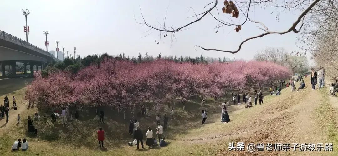 周末「踏春指南」！西安这30个周边踏春赏花的攻略-第20张图片