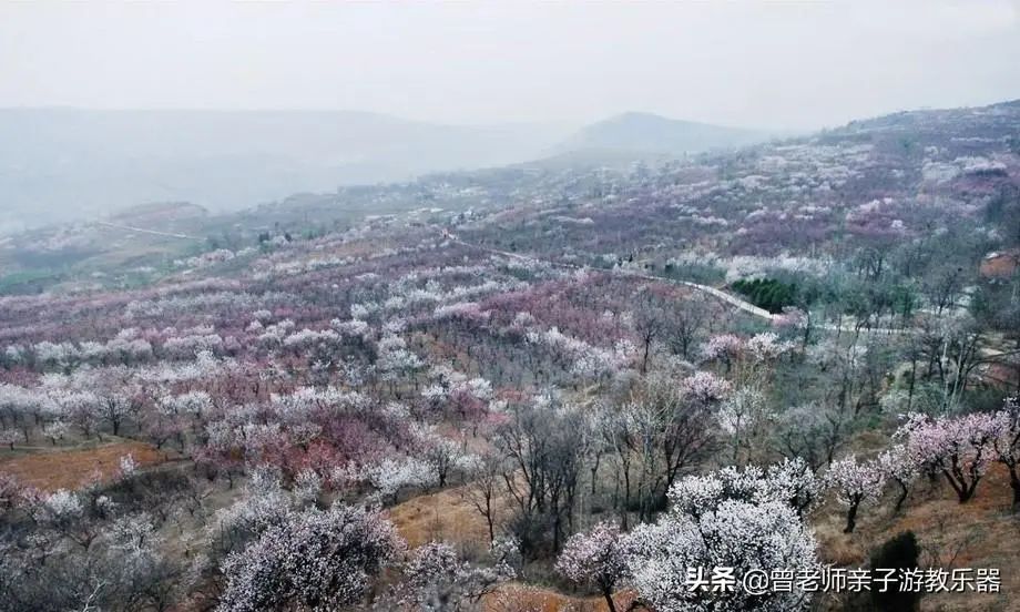 周末「踏春指南」！西安这30个周边踏春赏花的攻略-第24张图片