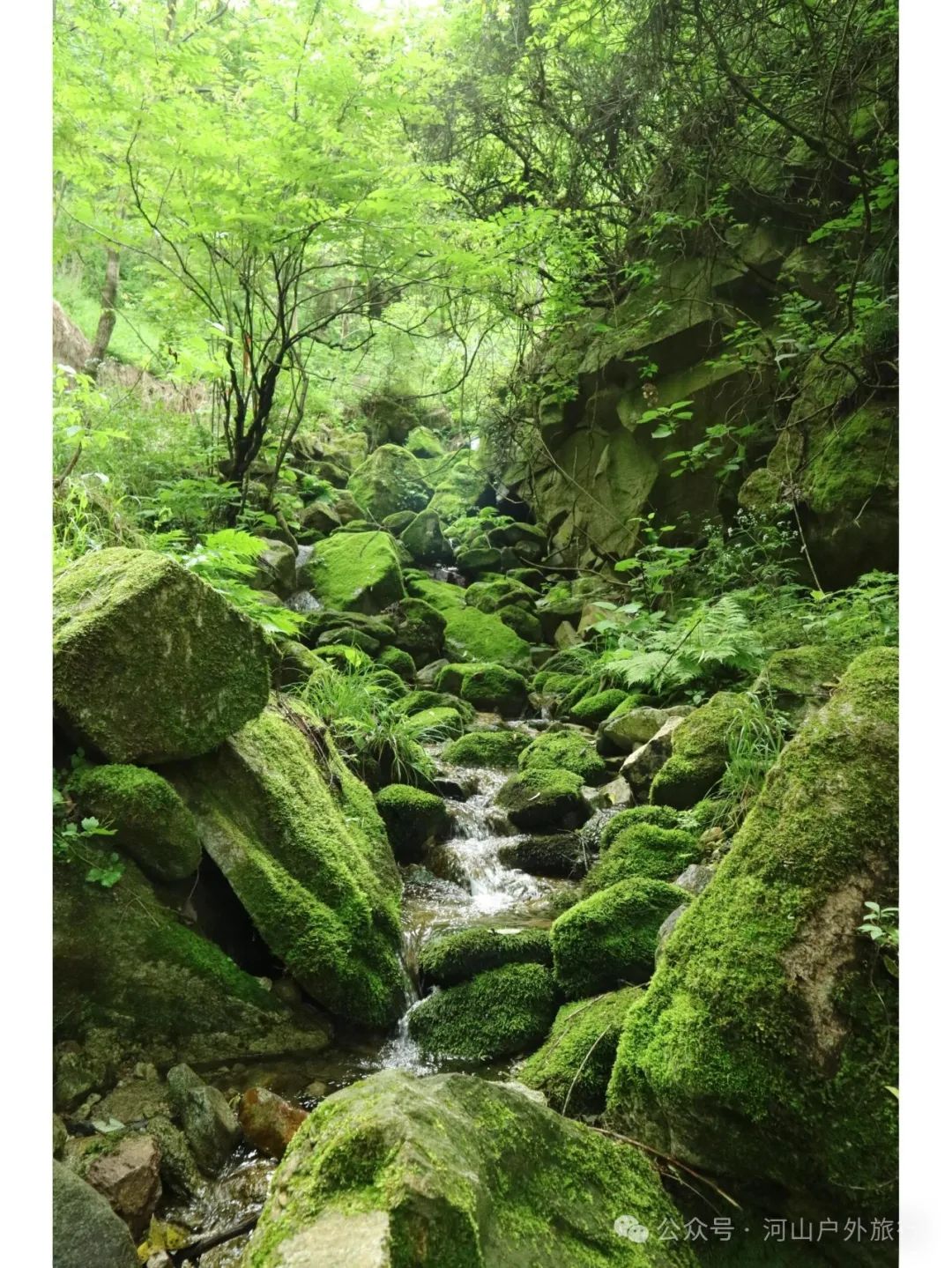 西安周边经典户外徒步登山线路——云际寺-第11张图片