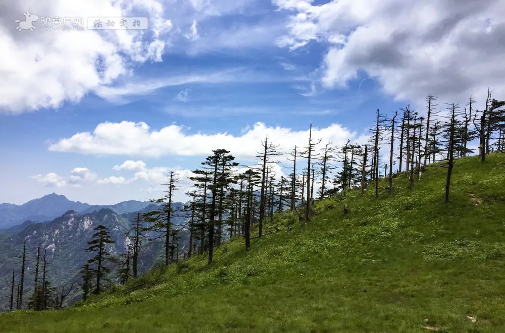 人少幽静，周末避暑绝佳！西安周边夏日必去的8个森林公园，最近1h到达！ 第3张