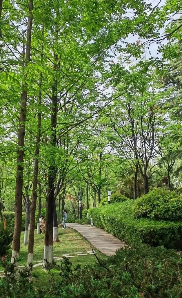 古都西安的活力绿洲，快来放松身心舒缓心情吧！地铁直达无门票！免费哦！-第2张图片