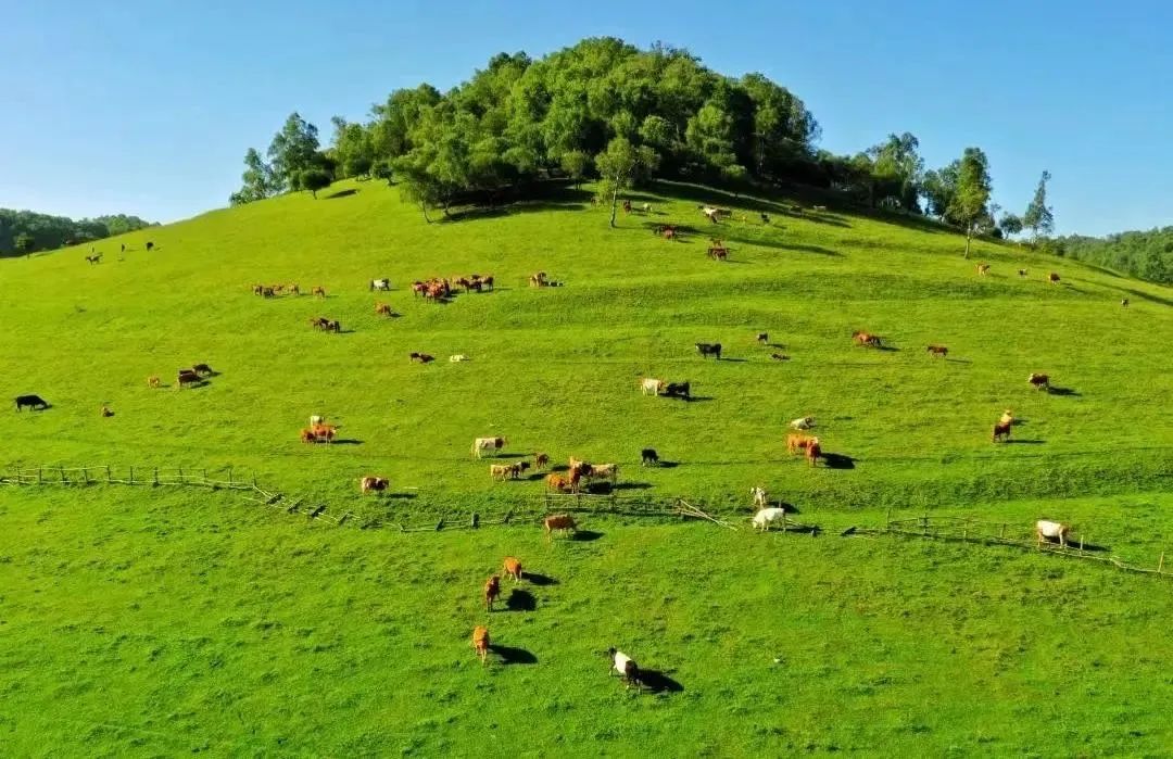 过22℃的夏天！快来西安周边7个宝藏避暑地，西安周边娱乐旅游休闲-第7张图片