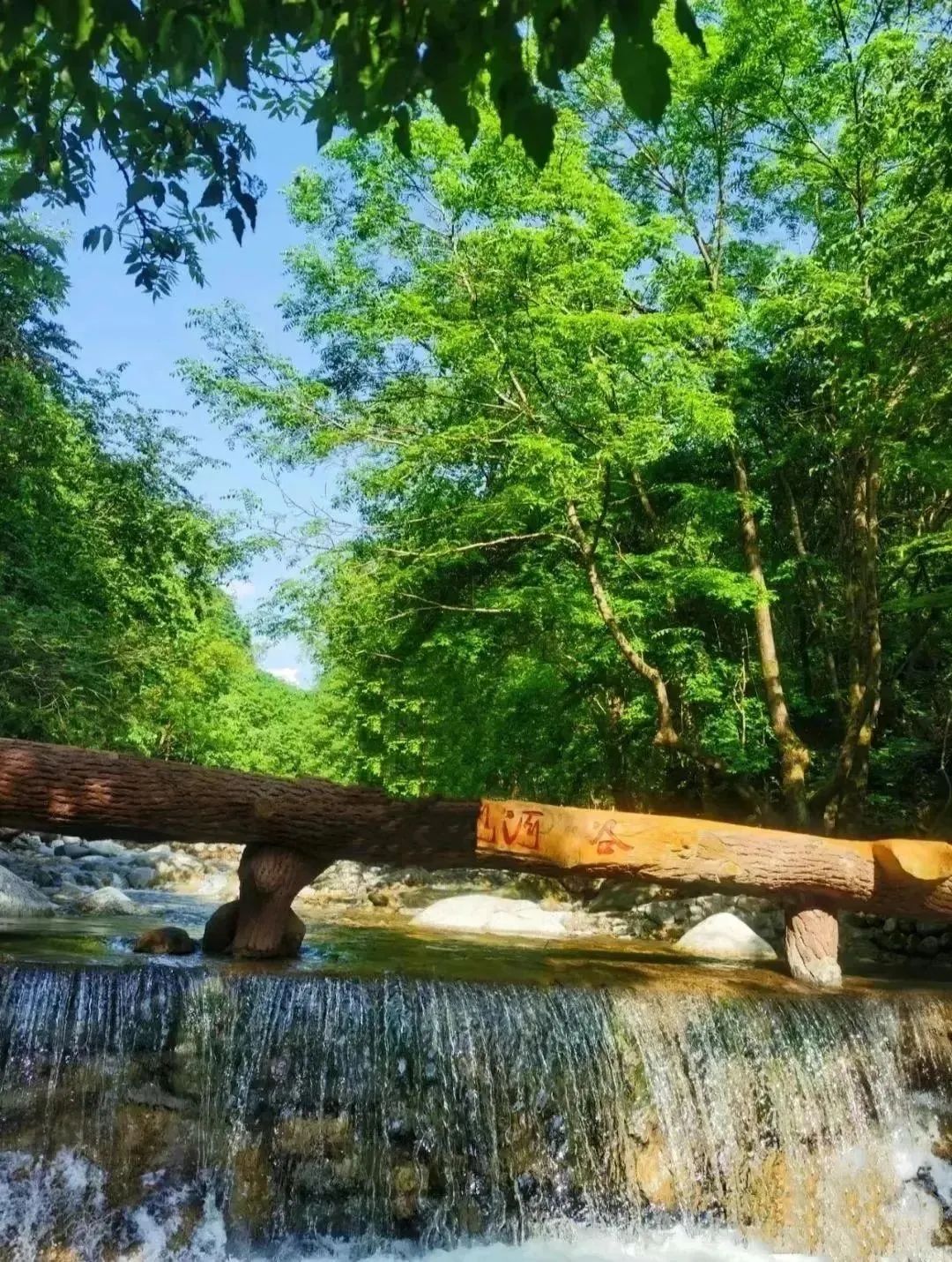 过22℃的夏天！快来西安周边7个宝藏避暑地，西安周边娱乐旅游休闲-第9张图片