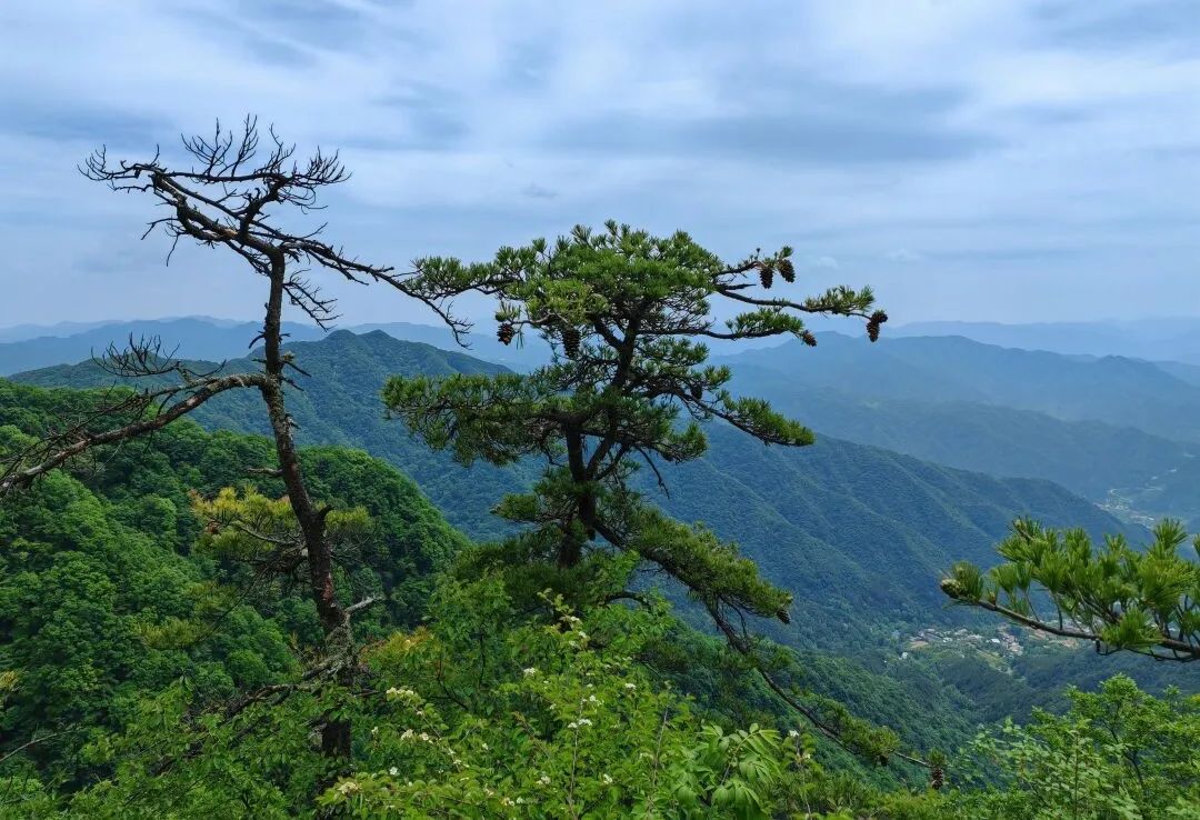 西安休闲娱乐登山路线分享！打卡西安“阿勒泰”!10条宝藏进山路线！-第8张图片