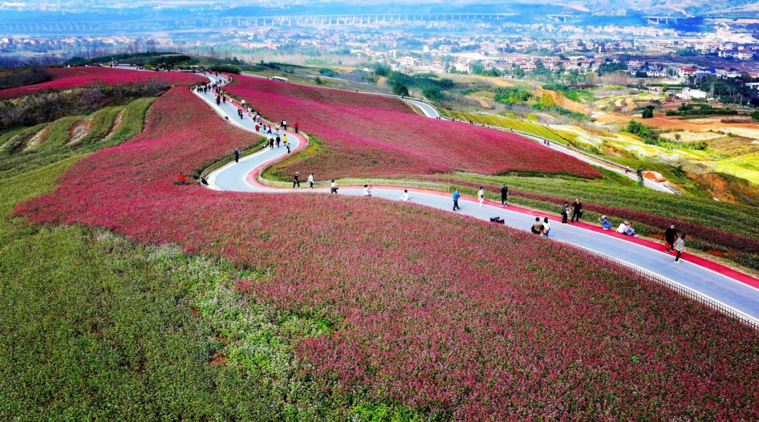 避暑纳凉收藏出发！西安周边放松娱乐10条夏季乡村旅游线路！-第9张图片