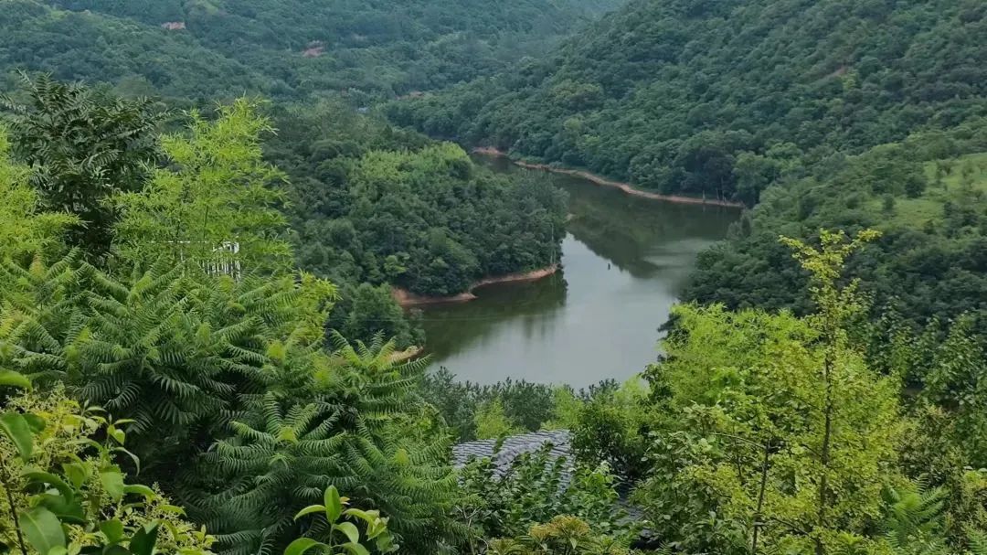 避暑纳凉收藏出发！西安周边放松娱乐10条夏季乡村旅游线路！-第12张图片