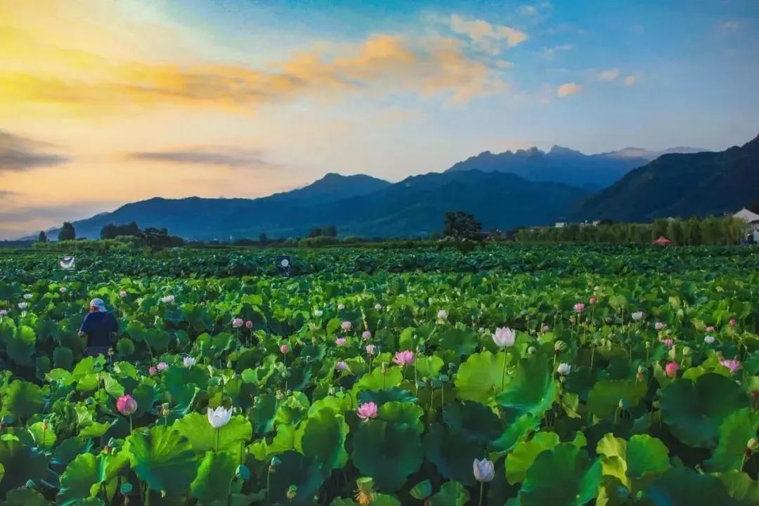 避暑纳凉收藏出发！西安周边放松娱乐10条夏季乡村旅游线路！-第17张图片