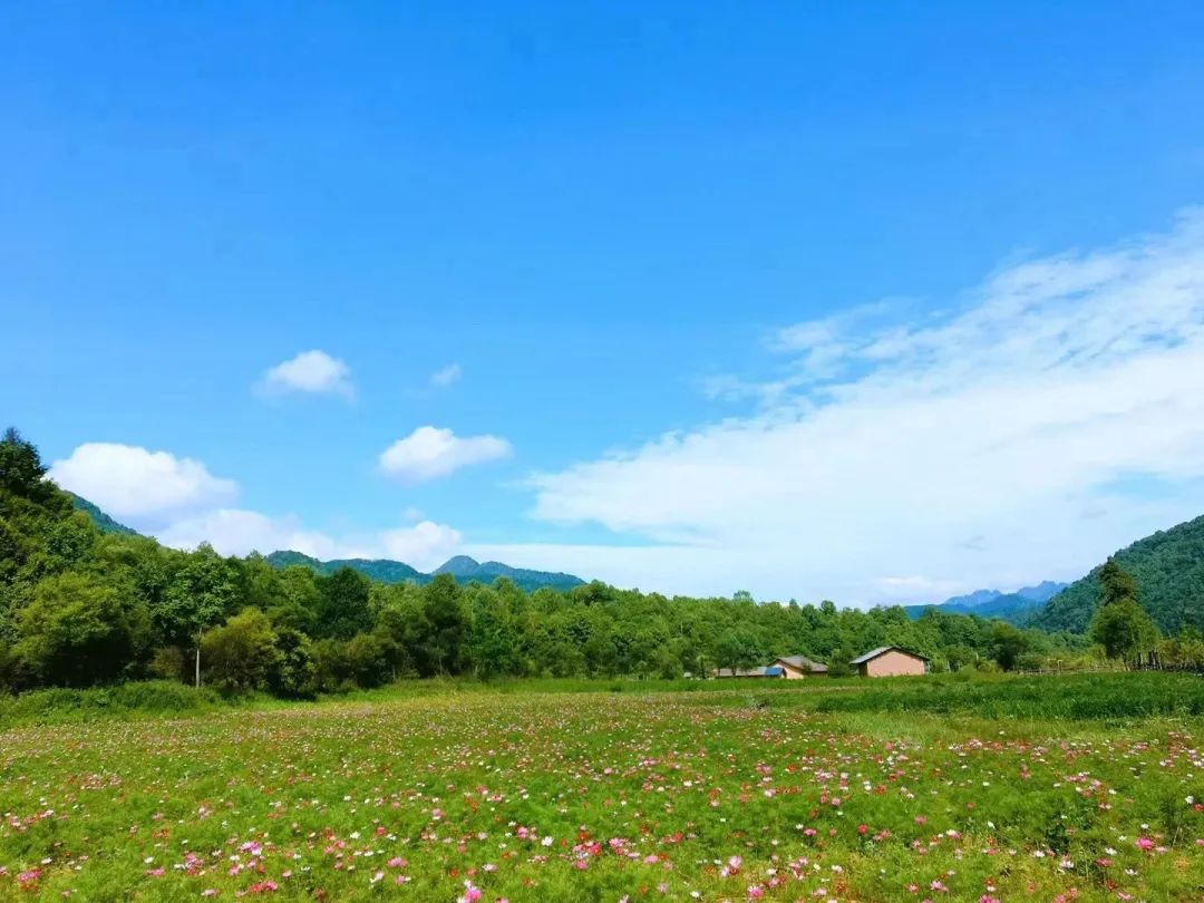 避暑纳凉收藏出发！西安周边放松娱乐10条夏季乡村旅游线路！-第19张图片