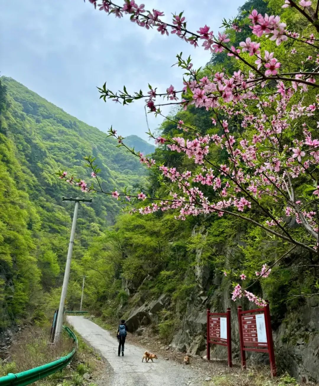 夏季避暑好去处！西安夜晚娱乐，周边最大野瀑布”推荐，仅1h车程，开车直达-第5张图片