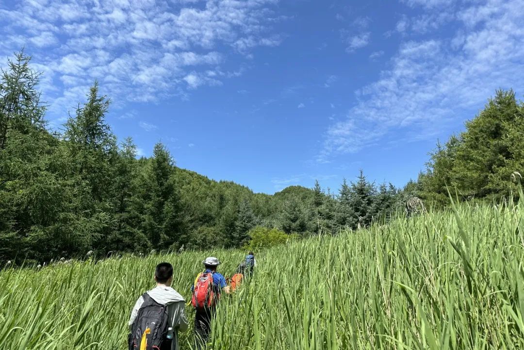 感受20°的夏天！西安周边娱乐，周一山！打卡8条夏日清凉路线！-第5张图片