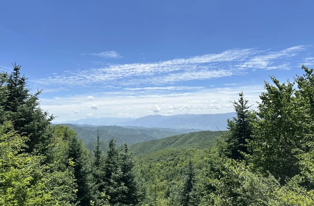 感受20°的夏天！西安周边娱乐，周一山！打卡8条夏日清凉路线！-第6张图片