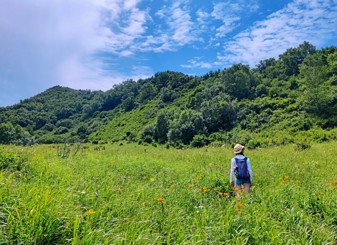 感受20°的夏天！西安周边娱乐，周一山！打卡8条夏日清凉路线！-第8张图片