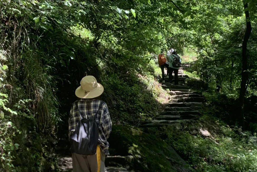 感受20°的夏天！西安周边娱乐，周一山！打卡8条夏日清凉路线！-第9张图片