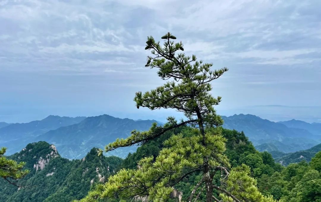 感受20°的夏天！西安周边娱乐，周一山！打卡8条夏日清凉路线！-第15张图片