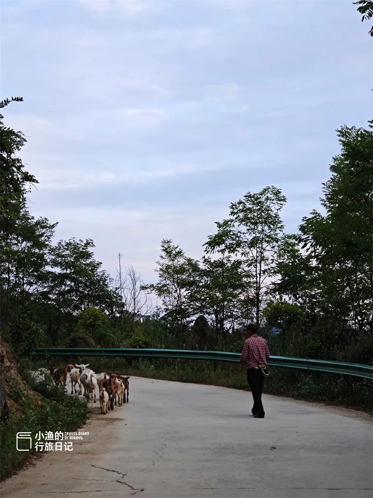 旅游博主带你看西安，开车直达山顶，没门票！西安周边2H，遇见超震撼云海！-第5张图片