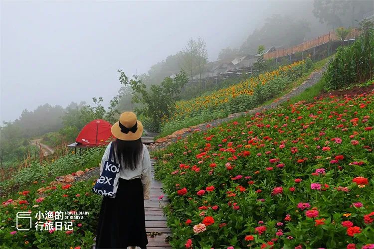 旅游博主带你看西安，开车直达山顶，没门票！西安周边2H，遇见超震撼云海！-第7张图片