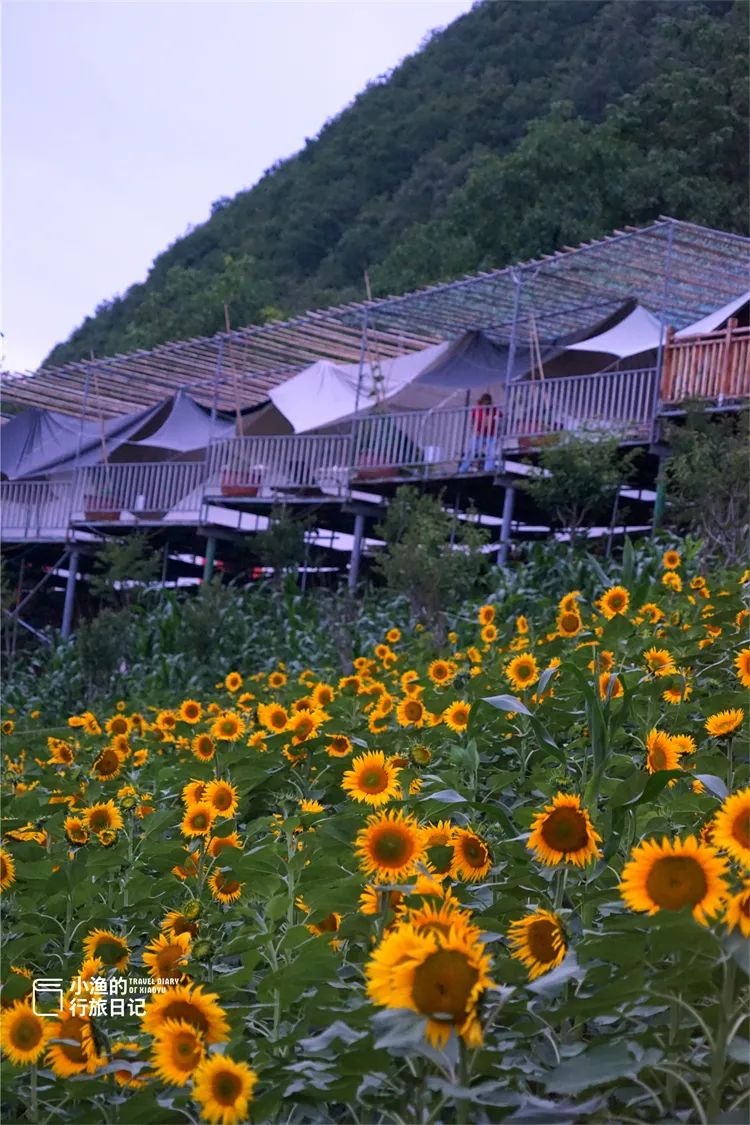 旅游博主带你看西安，开车直达山顶，没门票！西安周边2H，遇见超震撼云海！-第6张图片