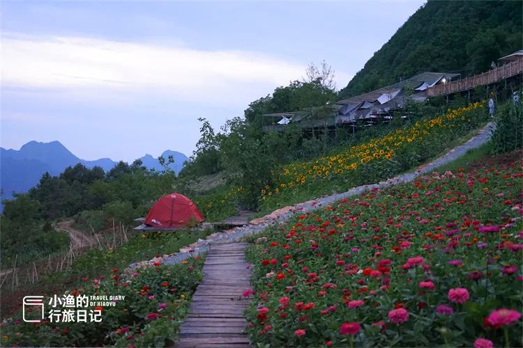 旅游博主带你看西安，开车直达山顶，没门票！西安周边2H，遇见超震撼云海！-第16张图片