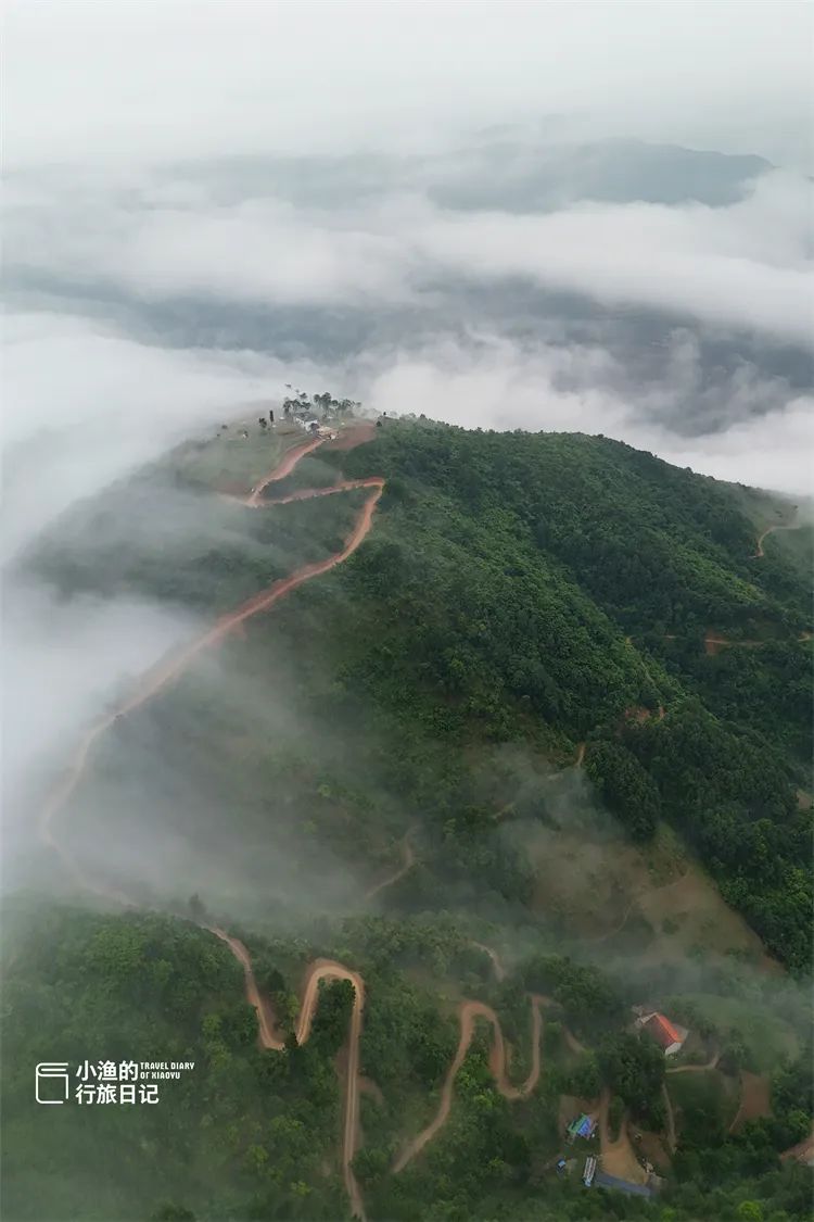 旅游博主带你看西安，开车直达山顶，没门票！西安周边2H，遇见超震撼云海！-第12张图片