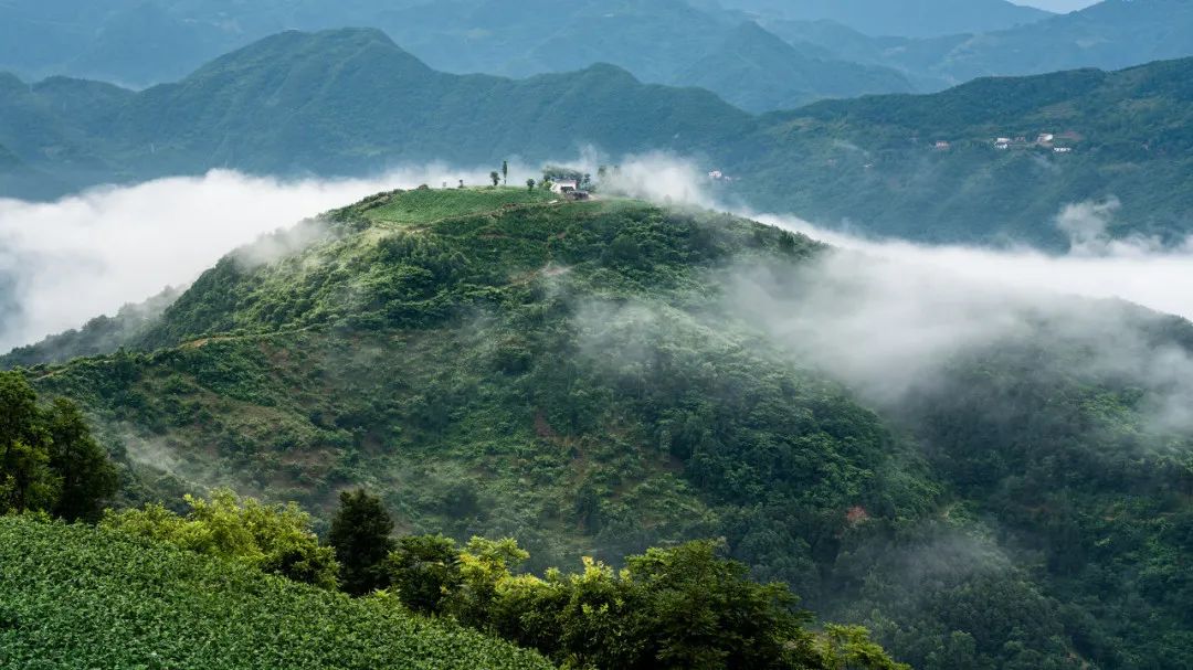 西安周边旅游放松这些地方避暑又好玩！高铁最快13分钟可达！-第5张图片