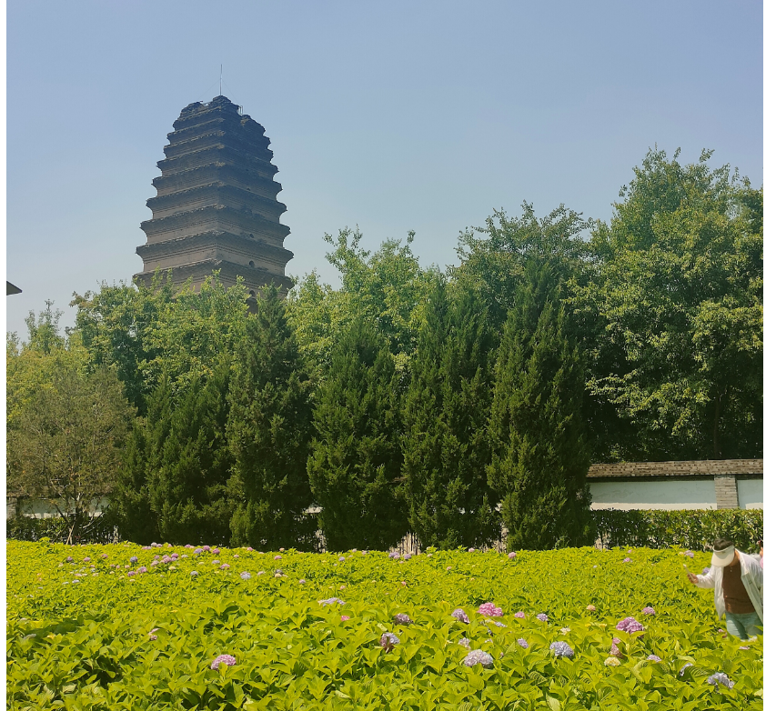 如果你喜欢一个人旅游的话，西安这几个地方绝对适合你-第5张图片