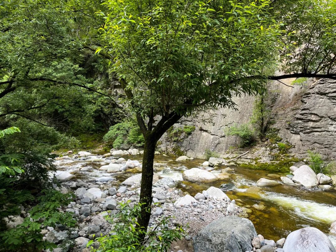 西安避暑旅游圣地，藏在西安周边的小众旅行地！-第5张图片