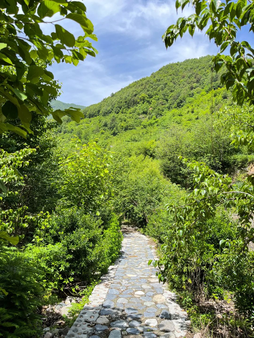 西安避暑旅游圣地，藏在西安周边的小众旅行地！-第4张图片