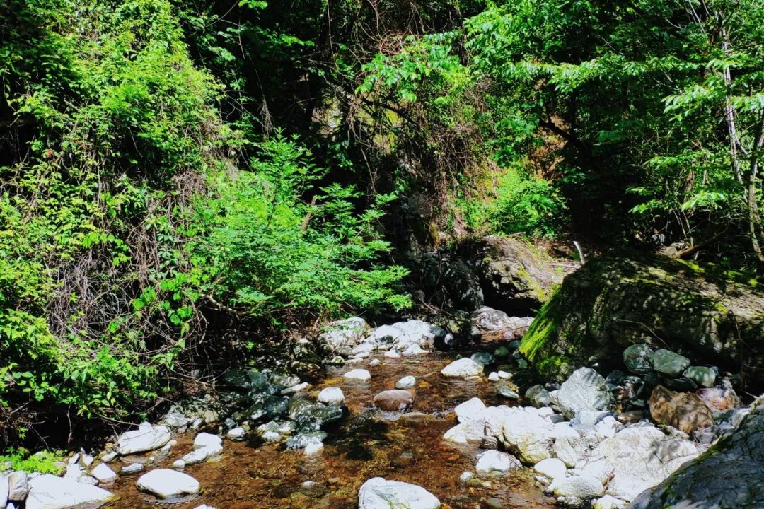 西安避暑旅游圣地，藏在西安周边的小众旅行地！-第22张图片