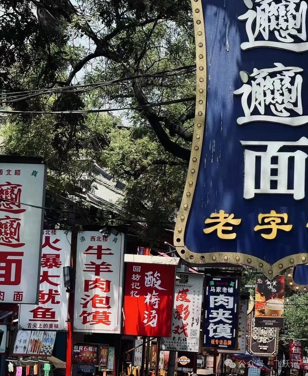 拥有“世界第八大奇迹”，中国唯一“没有机场”的省会，满城神仙——西安旅游-第38张图片