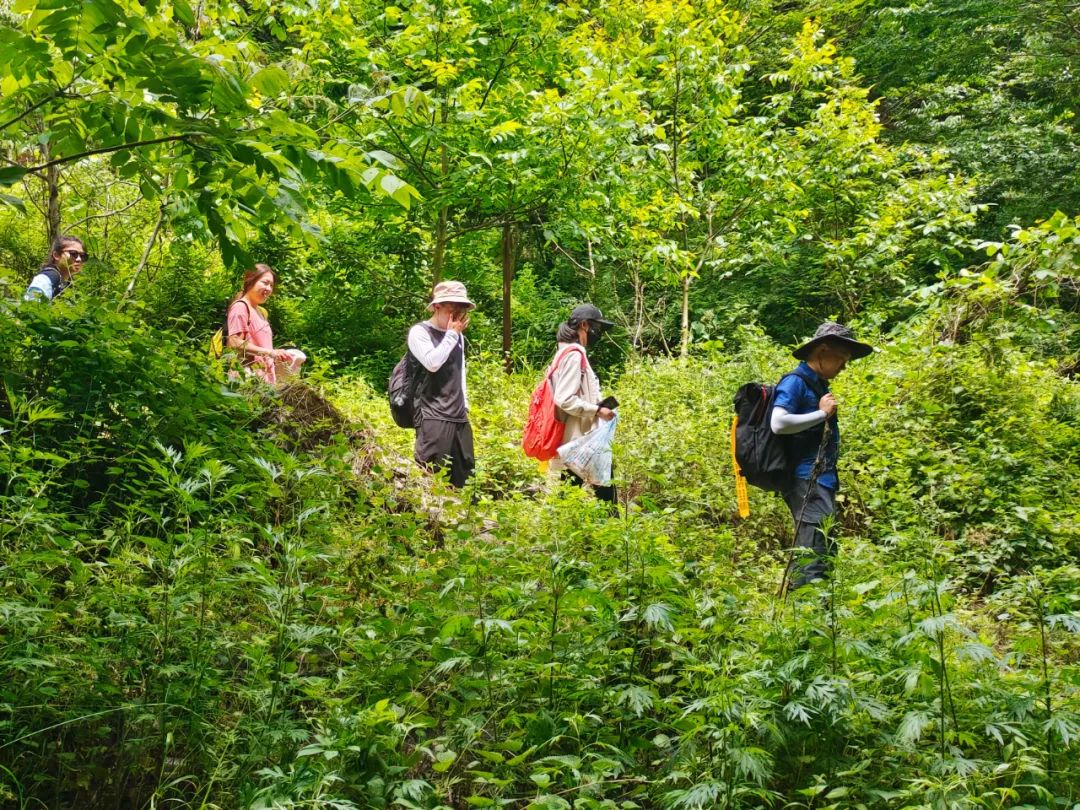 探秘秦岭天然氧吧，寻找英仙座流星雨的踪迹！——西安周一山-第1张图片