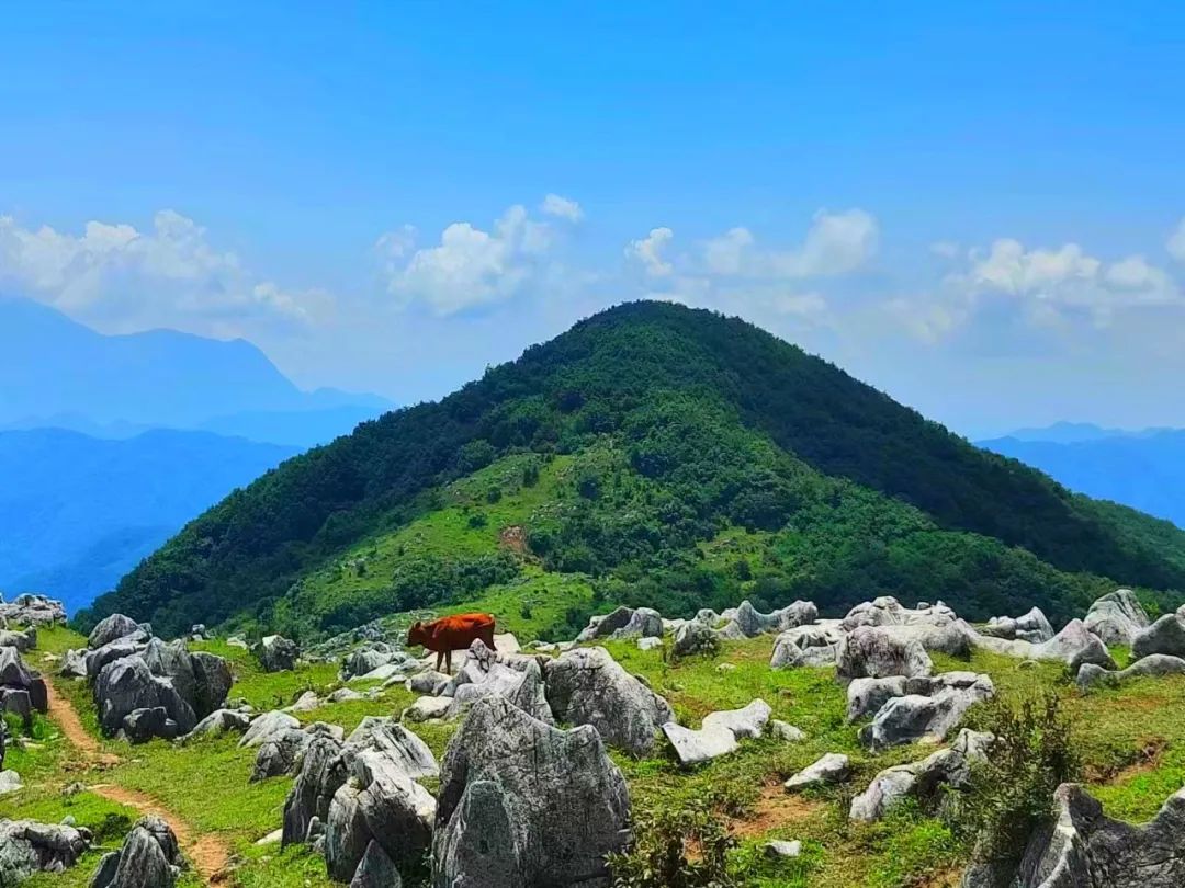 探秘秦岭天然氧吧，寻找英仙座流星雨的踪迹！——西安周一山-第3张图片