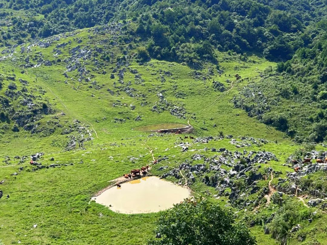 探秘秦岭天然氧吧，寻找英仙座流星雨的踪迹！——西安周一山-第4张图片