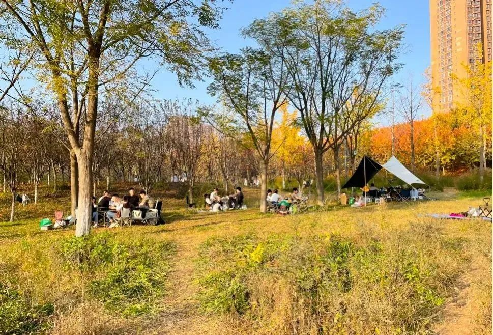 ，高空栈道和林中小径，拍照超美，仿佛身在童话中——西安最美赏秋公园-第5张图片