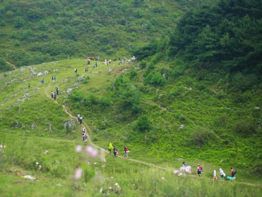 来一次说走就走的旅行~西安国庆小长假爆火的10 路线推荐！-第32张图片