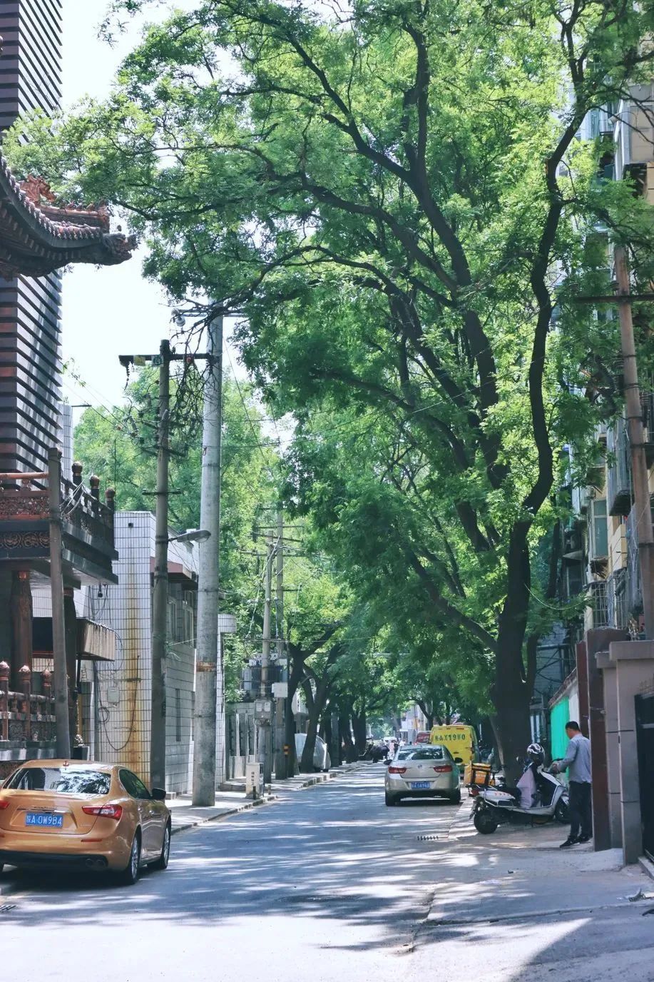 宝藏City Walk打卡地！西安小众放松休闲娱乐旅游胜地居然是它们!!!!!!-第3张图片