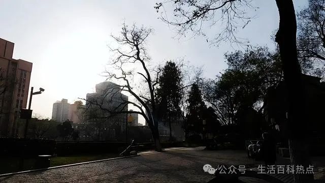 西安娱乐放松旅游，壮观古都，心动旅游定居！-第3张图片