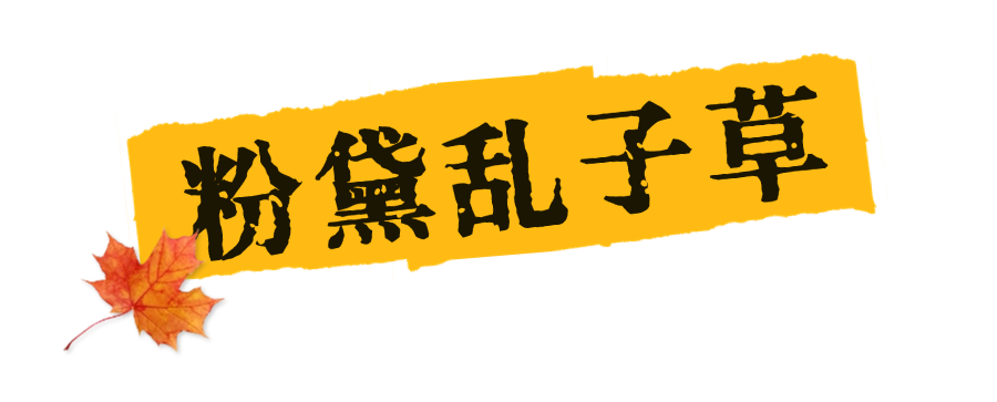 西安周边旅游休闲放松推荐：这些赏秋地错过等一年！“含秋量”爆棚！-第4张图片