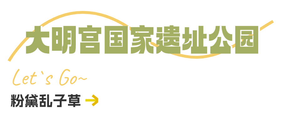 西安周边旅游休闲放松推荐：这些赏秋地错过等一年！“含秋量”爆棚！-第14张图片