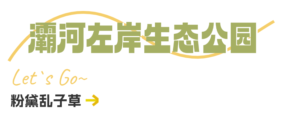 西安周边旅游休闲放松推荐：这些赏秋地错过等一年！“含秋量”爆棚！-第19张图片