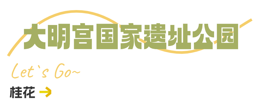 西安周边旅游休闲放松推荐：这些赏秋地错过等一年！“含秋量”爆棚！-第26张图片