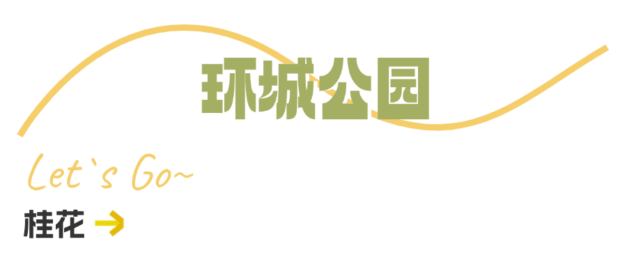 西安周边旅游休闲放松推荐：这些赏秋地错过等一年！“含秋量”爆棚！-第32张图片